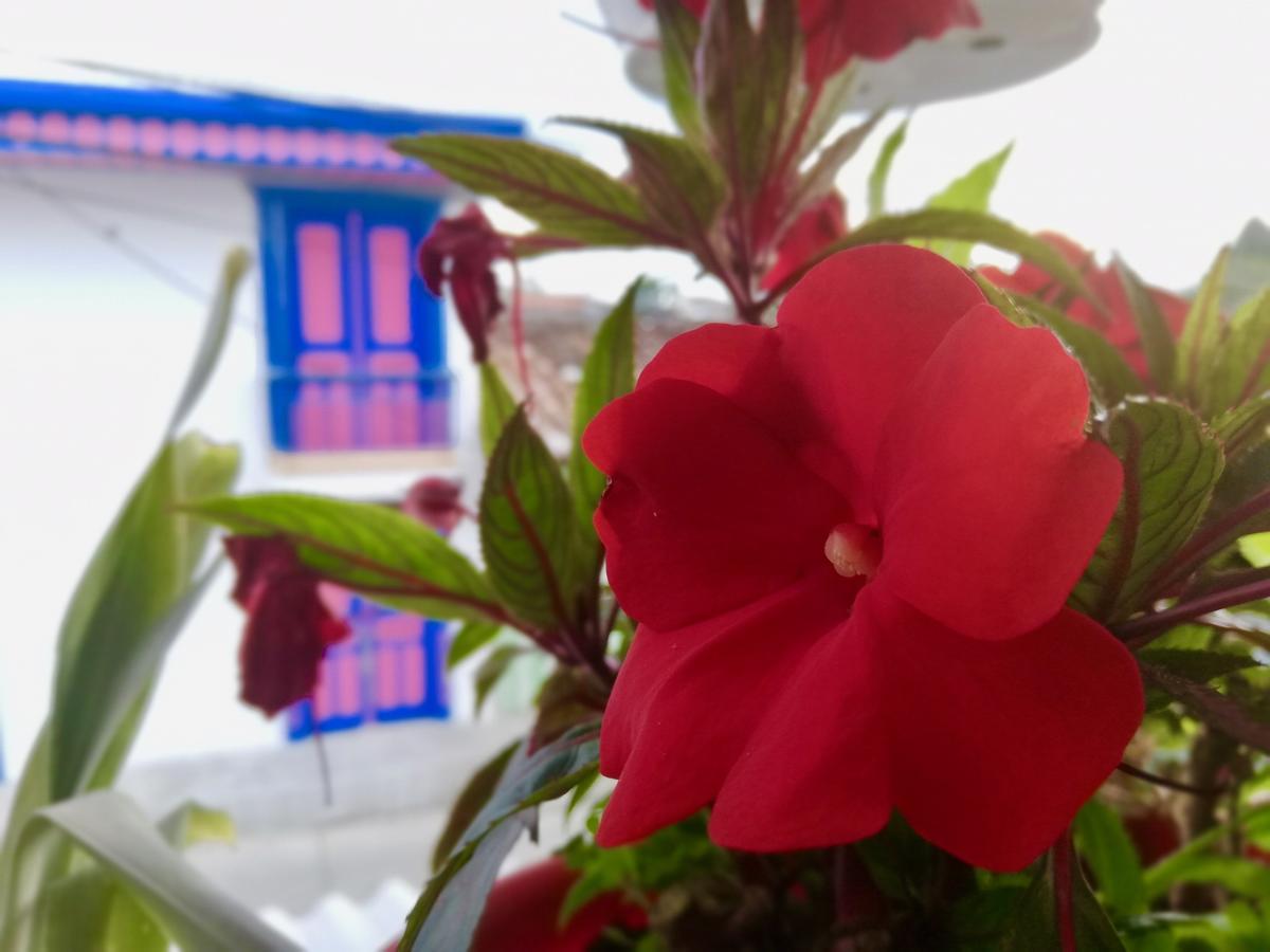 Posada Elenita Salento Luaran gambar